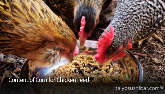 Content of Corn for Chicken Feed